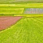 Castelluccio-zr2