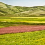 Castelluccio-zr3