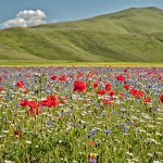 Castelluccio-zr4