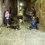 _MG_4516-low