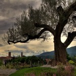 Menegatti Gianni- Passeggiata a Bassano