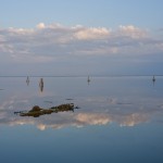 Porcelli Massimo-Laguna