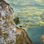 Vardanega Damiano-Paderno d.G.panorama