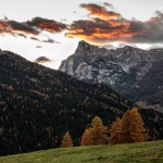 Nazzareno Berton-segnalato