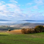 RobertoAlberton-Segnalato