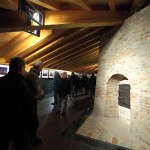 IMG_9529