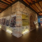 IMG_9593