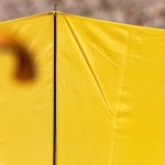 carlo-bortolazzo-giallo-carlo-bortolazzo