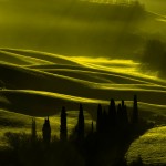 Erico Vardanega- segnalato