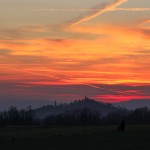 Gelmino Scalco