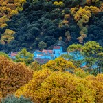 Nazzareno Berton-ammesso