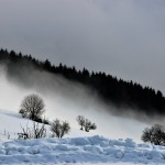 Domenica Bontorin-Ammessa