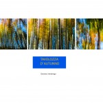 Damiano Vardanega-Ammessa