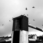 x-ambiente-piero-martini-portfolio-2-12