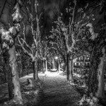 Michele Giacobbo-ammesso